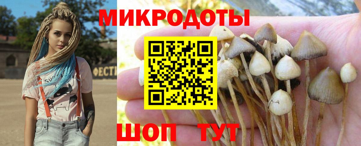 Дзержинский  Галлюциногенные грибы мицелий  Вход с VPN 